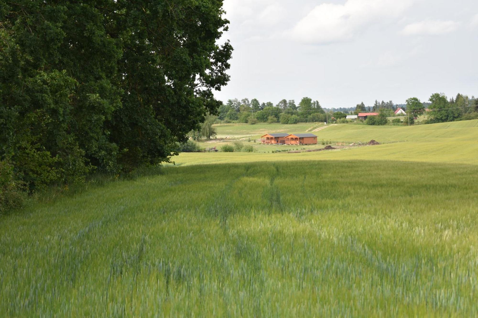 Ferienhaus Nad Stawem Miłki